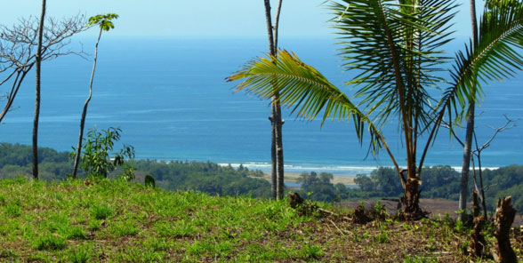 The Hills of Hatillo