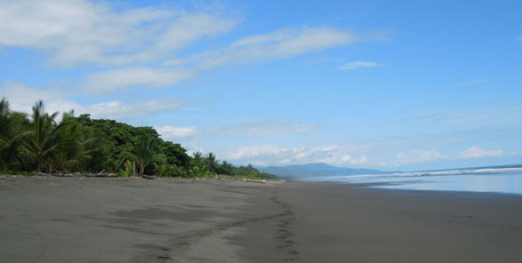 Secluded Beach of Playa Matapalo
